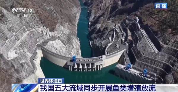 kaiyun体育(中国)2026世界杯 五大流域开展增殖放流 生态鱼说念助力预防鱼类洄游