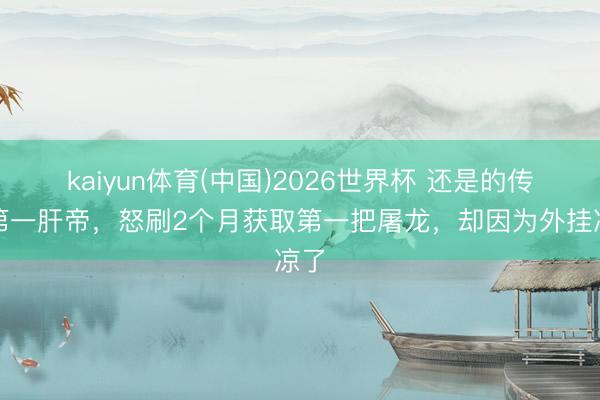 kaiyun体育(中国)2026世界杯 还是的传奇第一肝帝，怒刷2个月获取第一把屠龙，却因为外挂凉了