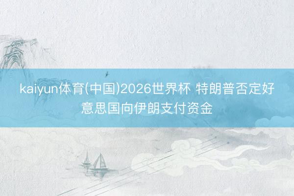 kaiyun体育(中国)2026世界杯 特朗普否定好意思国向伊朗支付资金