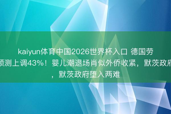 kaiyun体育中国2026世界杯入口 德国劳能源缺口预测上调43%！婴儿潮退场肖似外侨收紧，默茨政府堕入两难